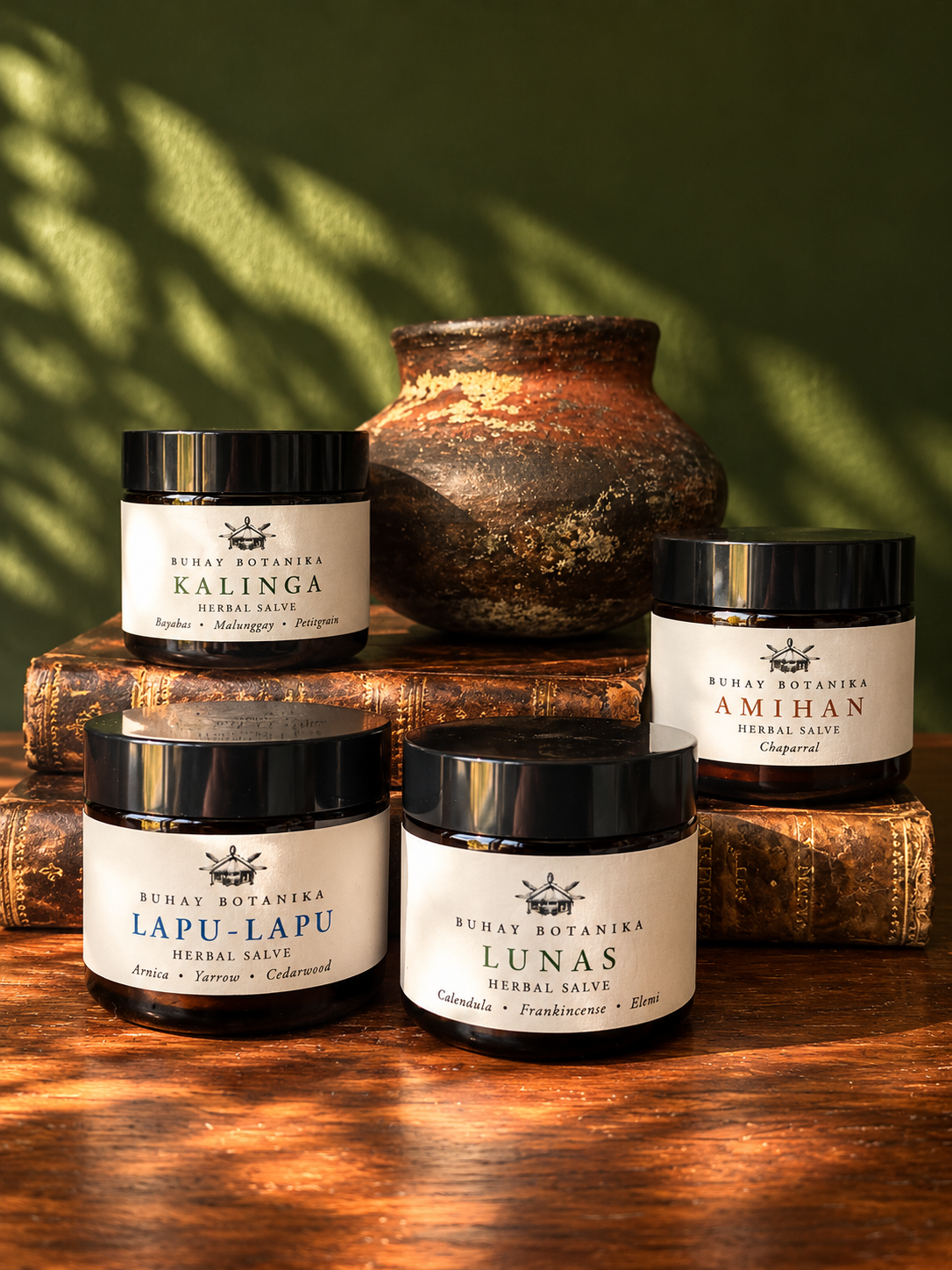 Salves / Botanical Care